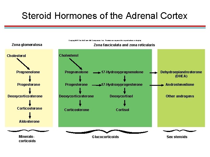 Steroid Hormones of the Adrenal Cortex Copyright © The Mc. Graw-Hill Companies, Inc. Permission