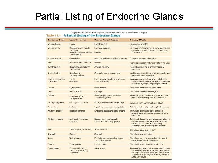 Partial Listing of Endocrine Glands 