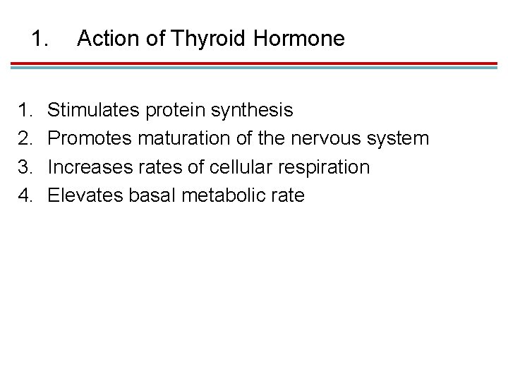 1. 1. 2. 3. 4. Action of Thyroid Hormone Stimulates protein synthesis Promotes maturation