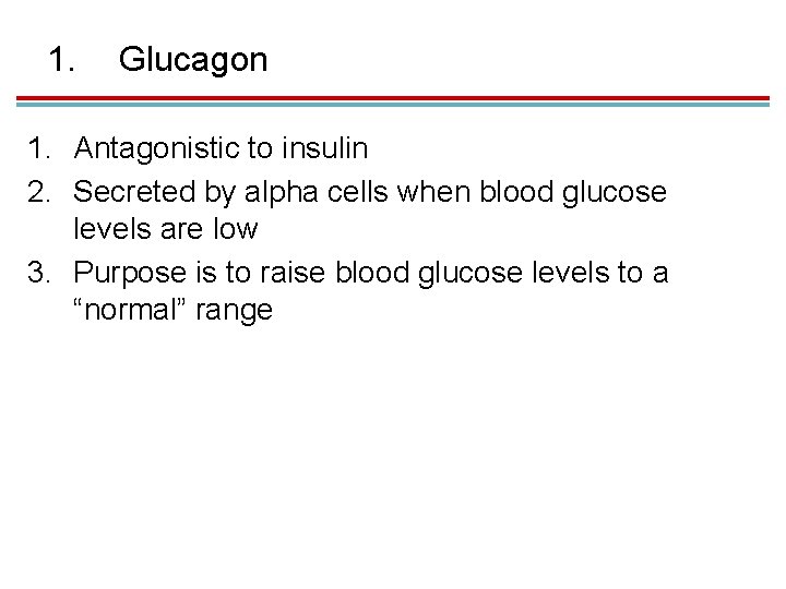 1. Glucagon 1. Antagonistic to insulin 2. Secreted by alpha cells when blood glucose