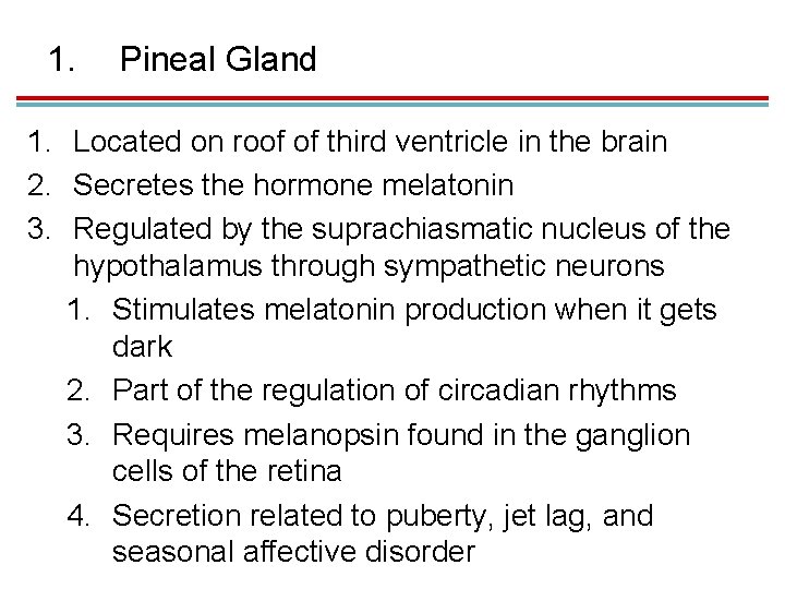 1. Pineal Gland 1. Located on roof of third ventricle in the brain 2.