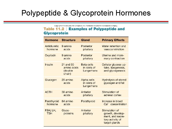 Polypeptide & Glycoprotein Hormones 