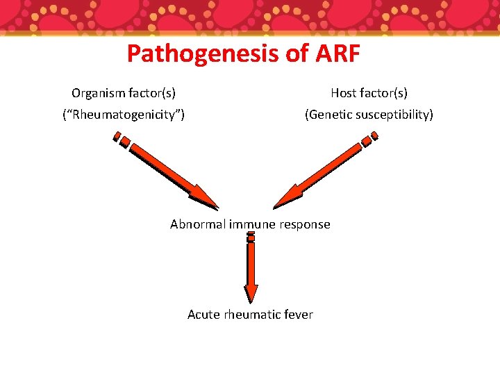 Pathogenesis of ARF Organism factor(s) Host factor(s) (“Rheumatogenicity”) (Genetic susceptibility) Abnormal immune response Acute