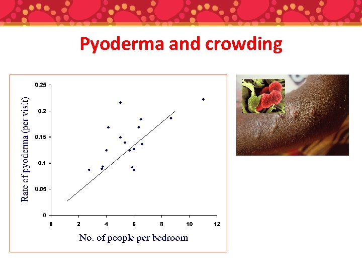 Pyoderma and crowding 