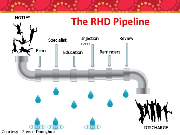The RHD Pipeline NOTIFY Specialist Echo Courtesy – Steven Donoghue Injection care Education Review