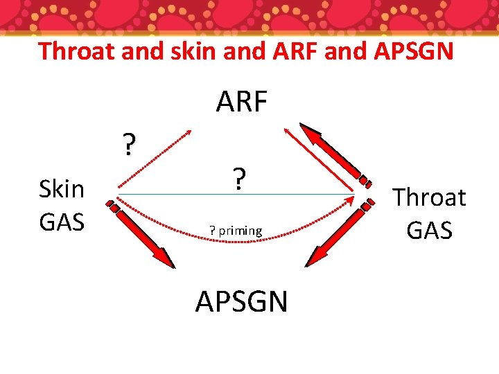 Throat and skin and ARF and APSGN ARF ? Skin GAS ? ? priming