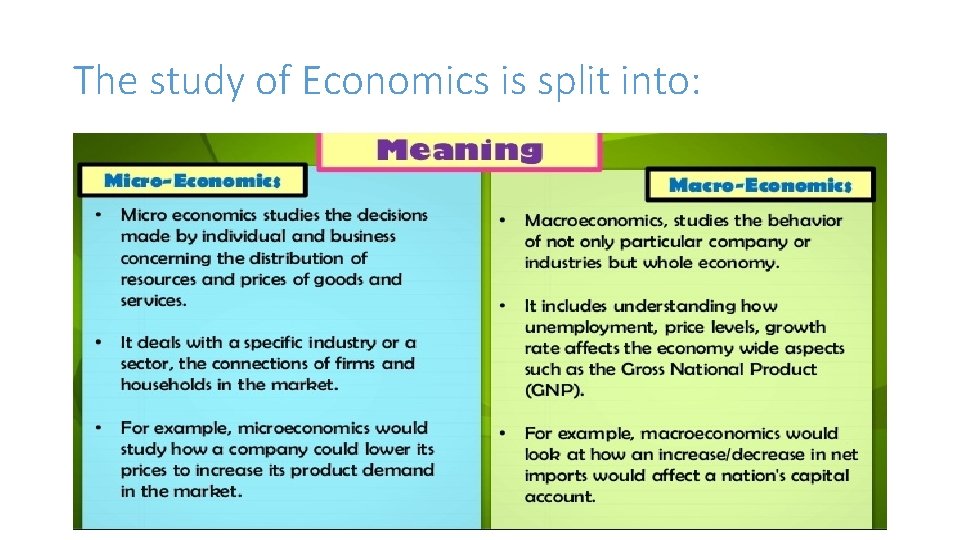 The study of Economics is split into: 
