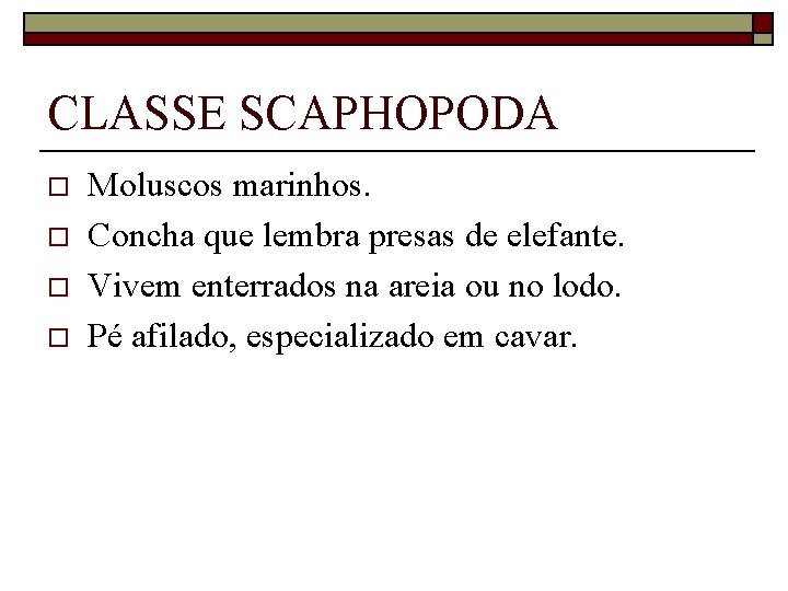 CLASSE SCAPHOPODA o o Moluscos marinhos. Concha que lembra presas de elefante. Vivem enterrados