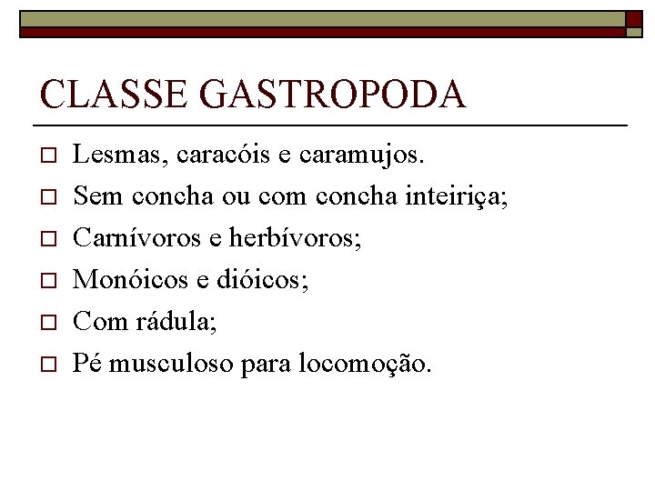 CLASSE GASTROPODA o o o Lesmas, caracóis e caramujos. Sem concha ou com concha