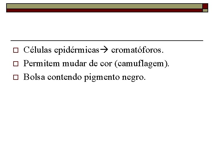 o o o Células epidérmicas cromatóforos. Permitem mudar de cor (camuflagem). Bolsa contendo pigmento