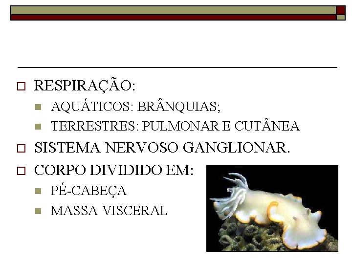 o RESPIRAÇÃO: n n o o AQUÁTICOS: BR NQUIAS; TERRESTRES: PULMONAR E CUT NEA