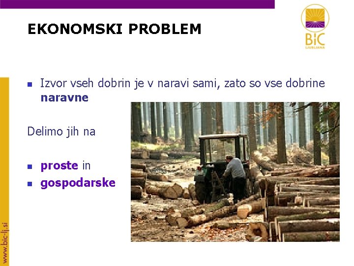 EKONOMSKI PROBLEM n Izvor vseh dobrin je v naravi sami, zato so vse dobrine