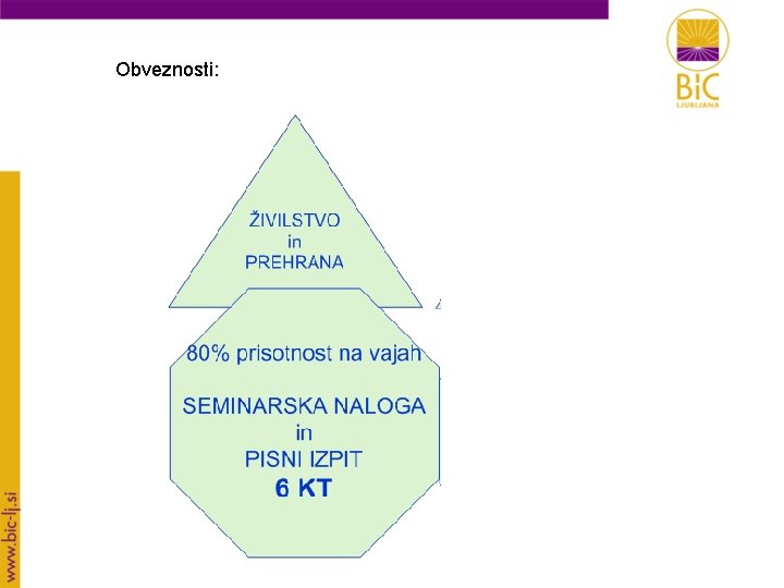 Obveznosti: 