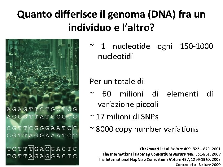 Quanto differisce il genoma (DNA) fra un individuo e l’altro? ~ 1 nucleotide ogni Quanto differisce il genoma (DNA) fra un individuo e l’altro? ~ 1 nucleotide ogni