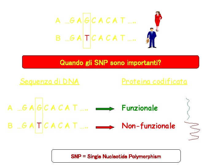 A …G A G C A T …. . B …G A T C A …G A G C A T …. . B …G A T C