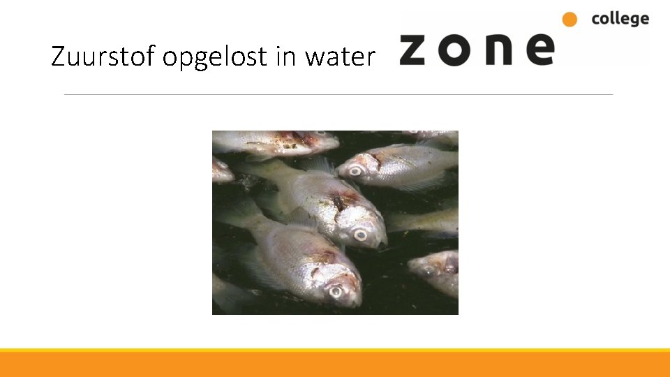 Zuurstof opgelost in water 