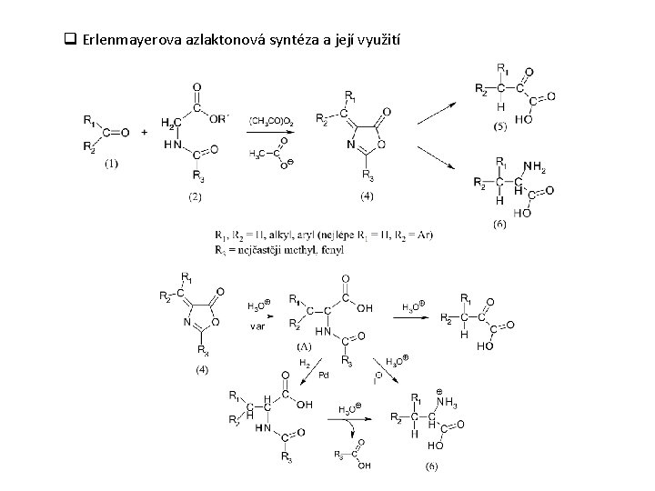 q Erlenmayerova azlaktonová syntéza a její využití 