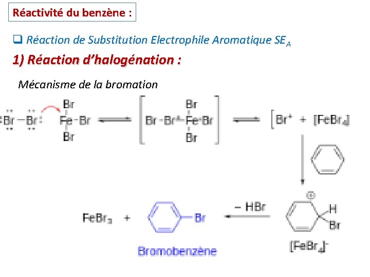 Réactivité du benzène : q Réaction de Substitution Electrophile Aromatique SEA 1) Réaction d’halogénation Réactivité du benzène : q Réaction de Substitution Electrophile Aromatique SEA 1) Réaction d’halogénation