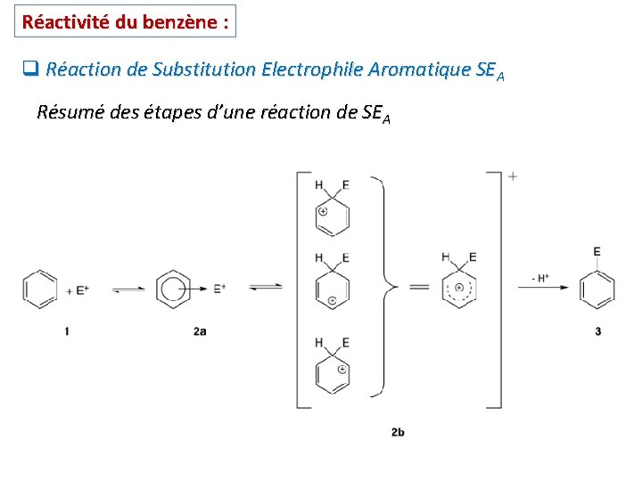Réactivité du benzène : q Réaction de Substitution Electrophile Aromatique SEA Résumé des étapes Réactivité du benzène : q Réaction de Substitution Electrophile Aromatique SEA Résumé des étapes