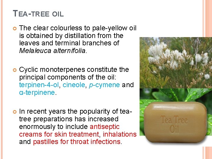 TEA-TREE OIL The clear colourless to pale-yellow oil is obtained by distillation from the