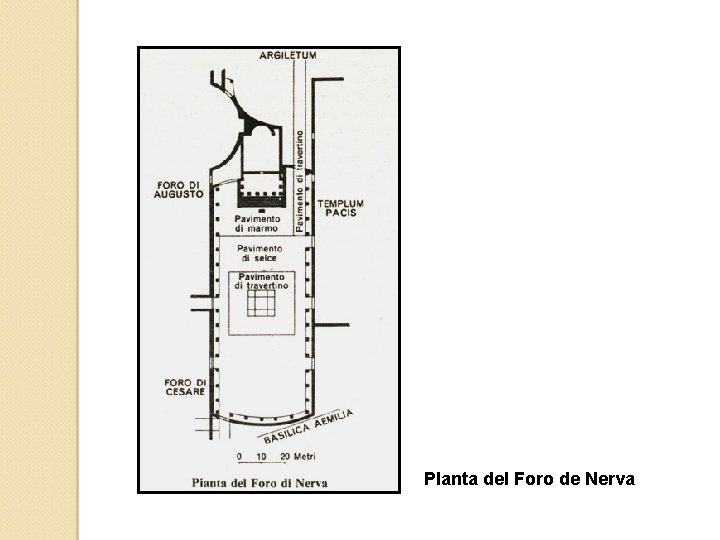 Planta del Foro de Nerva 