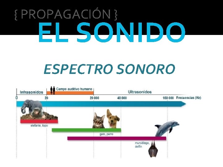 { PROPAGACIÓN } EL SONIDO ESPECTRO SONORO 