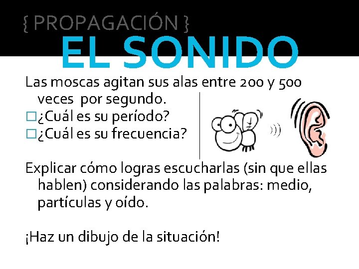 { PROPAGACIÓN } EL SONIDO Las moscas agitan sus alas entre 200 y 500