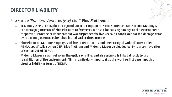 DIRECTOR LIABILITY • S v Blue Platinum Ventures (Pty) Ltd ("Blue Platinum") o o