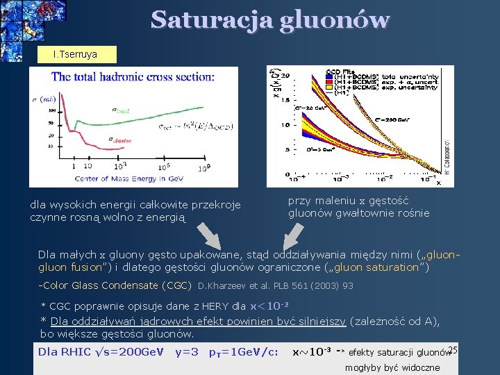 Saturacja gluonów I. Tserruya dla wysokich energii całkowite przekroje czynne rosną wolno z energią