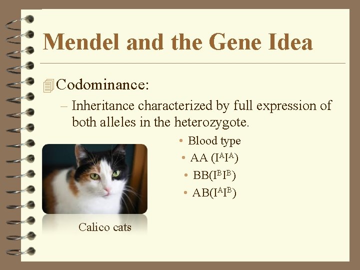 Mendel and the Gene Idea 4 Codominance: – Inheritance characterized by full expression of