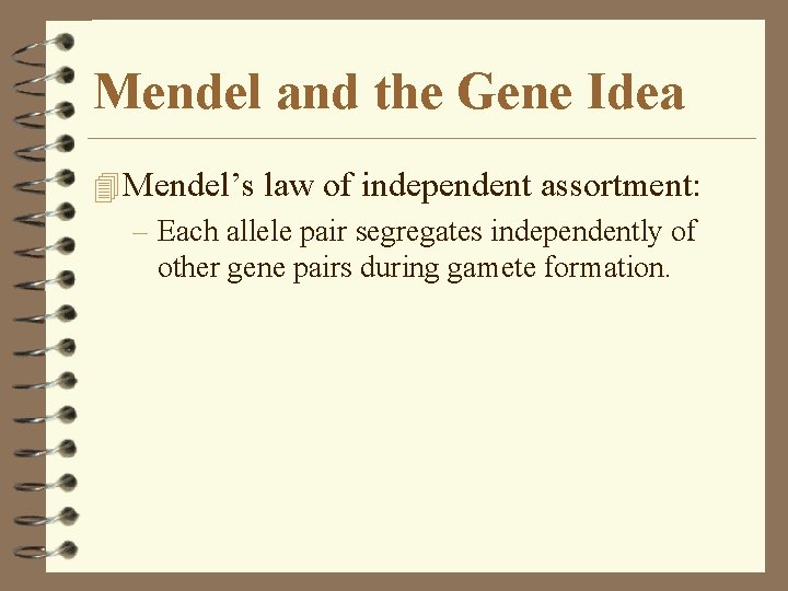Mendel and the Gene Idea 4 Mendel’s law of independent assortment: – Each allele