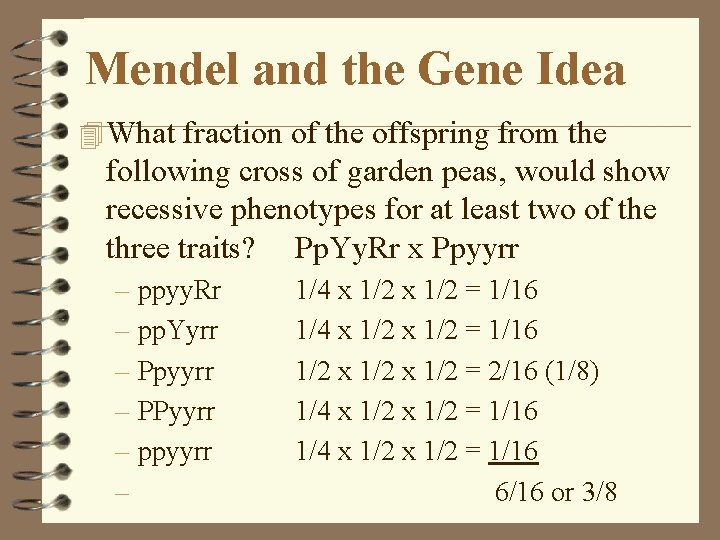 Mendel and the Gene Idea 4 What fraction of the offspring from the following