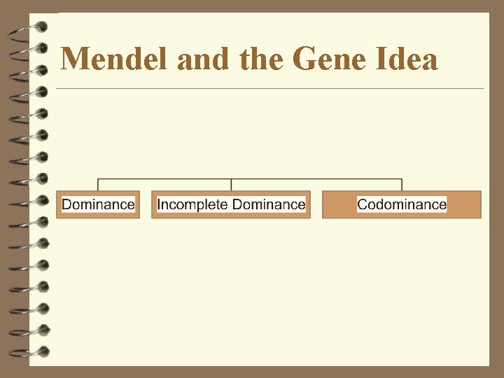 Mendel and the Gene Idea 