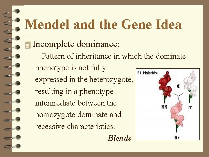 Mendel and the Gene Idea 4 Incomplete dominance: – Pattern of inheritance in which