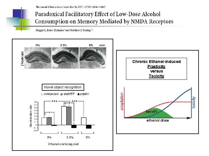 Chronic Ethanol-induced Plasticity versus Toxicity Novel object recognition 
