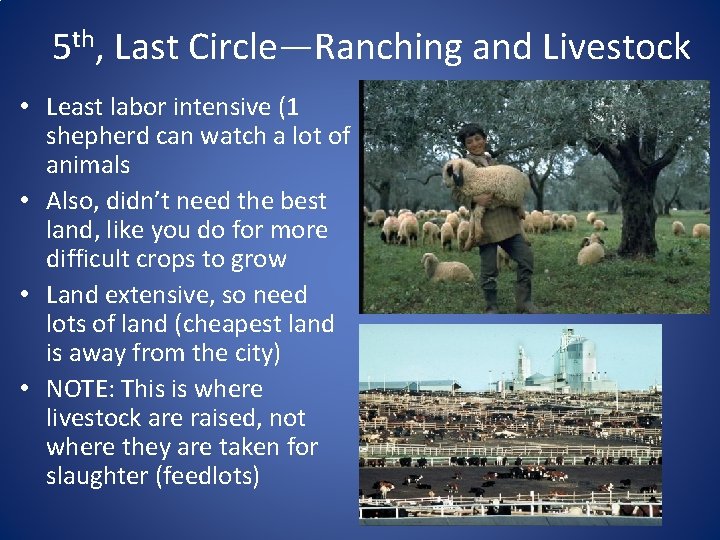 5 th, Last Circle—Ranching and Livestock • Least labor intensive (1 shepherd can watch