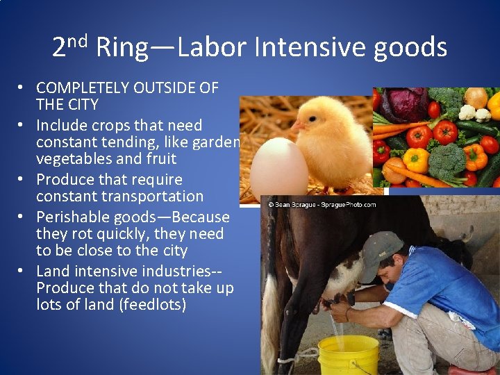 2 nd Ring—Labor Intensive goods • COMPLETELY OUTSIDE OF THE CITY • Include crops