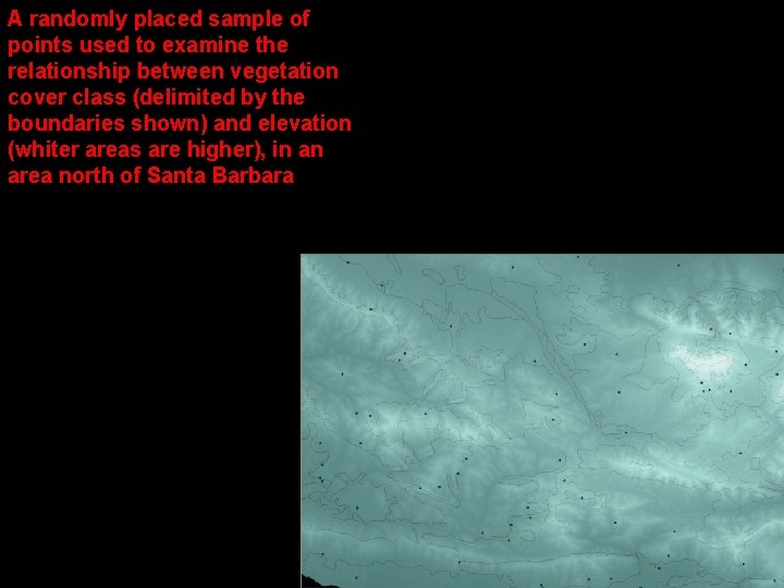 A randomly placed sample of points used to examine the relationship between vegetation cover