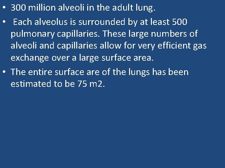  • 300 million alveoli in the adult lung. • Each alveolus is surrounded