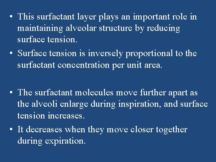  • This surfactant layer plays an important role in maintaining alveolar structure by