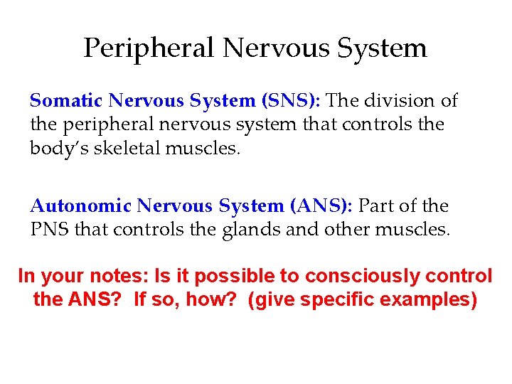 Peripheral Nervous System Somatic Nervous System (SNS): The division of the peripheral nervous system Peripheral Nervous System Somatic Nervous System (SNS): The division of the peripheral nervous system
