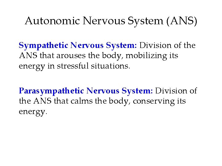 Autonomic Nervous System (ANS) Sympathetic Nervous System: Division of the ANS that arouses the Autonomic Nervous System (ANS) Sympathetic Nervous System: Division of the ANS that arouses the