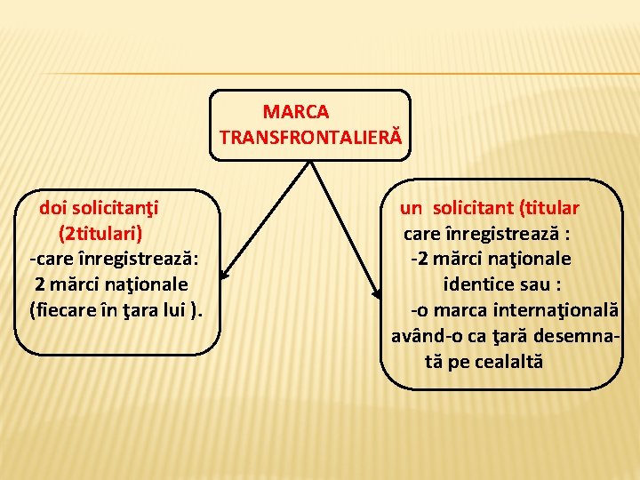  MARCA TRANSFRONTALIERĂ doi solicitanţi un solicitant (titular (2 titulari) care înregistrează : -care