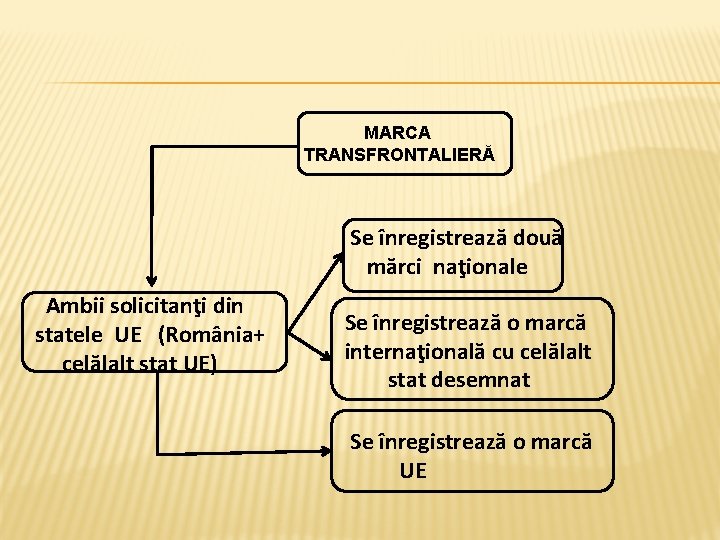  MARCA TRANSFRONTALIERĂ Se înregistrează două mărci naţionale Ambii solicitanţi din Se înregistrează o