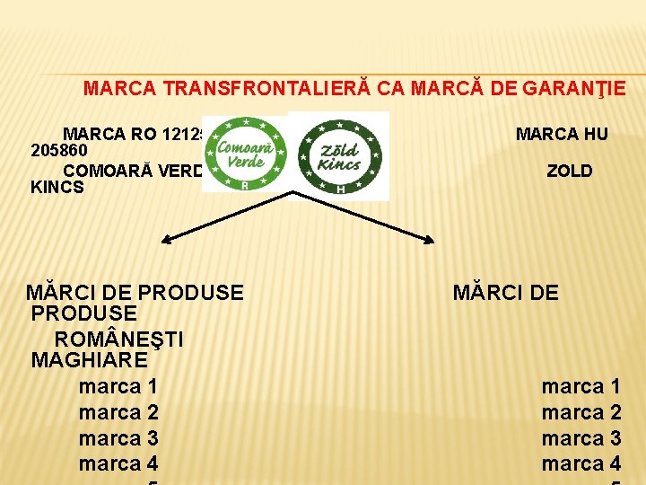  MARCA TRANSFRONTALIERĂ CA MARCĂ DE GARANŢIE MARCA RO 121253 MARCA HU 205860 COMOARĂ