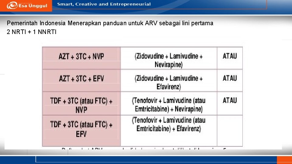 Pemerintah Indonesia Menerapkan panduan untuk ARV sebagai lini pertama 2 NRTI + 1 NNRTI