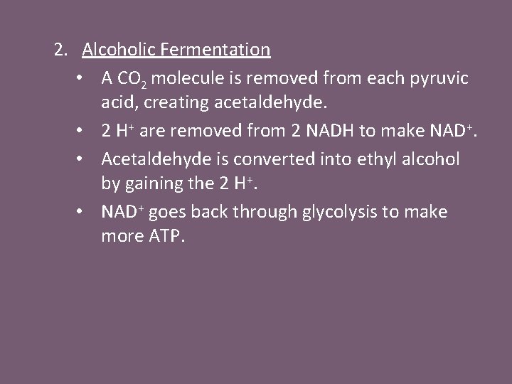 2. Alcoholic Fermentation • A CO 2 molecule is removed from each pyruvic acid,