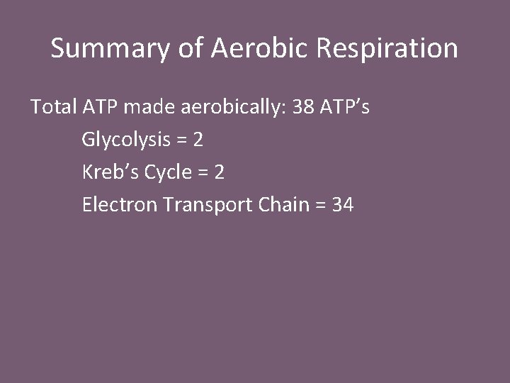 Summary of Aerobic Respiration Total ATP made aerobically: 38 ATP’s Glycolysis = 2 Kreb’s