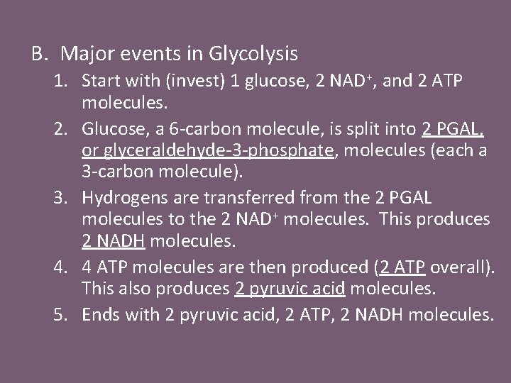 B. Major events in Glycolysis 1. Start with (invest) 1 glucose, 2 NAD+, and