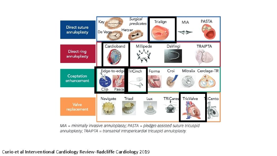 Curio et al Interventional Cardiology Review-Radcliffe Cardiology 2019 